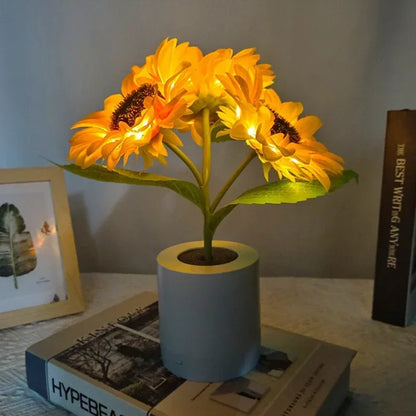 SunGlow Night Light